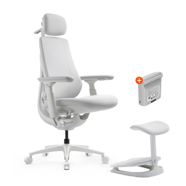 Dynamic Ergonomic Office Chair